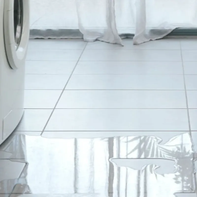 Appliance Leak Cleanup in Elm Springs, AR