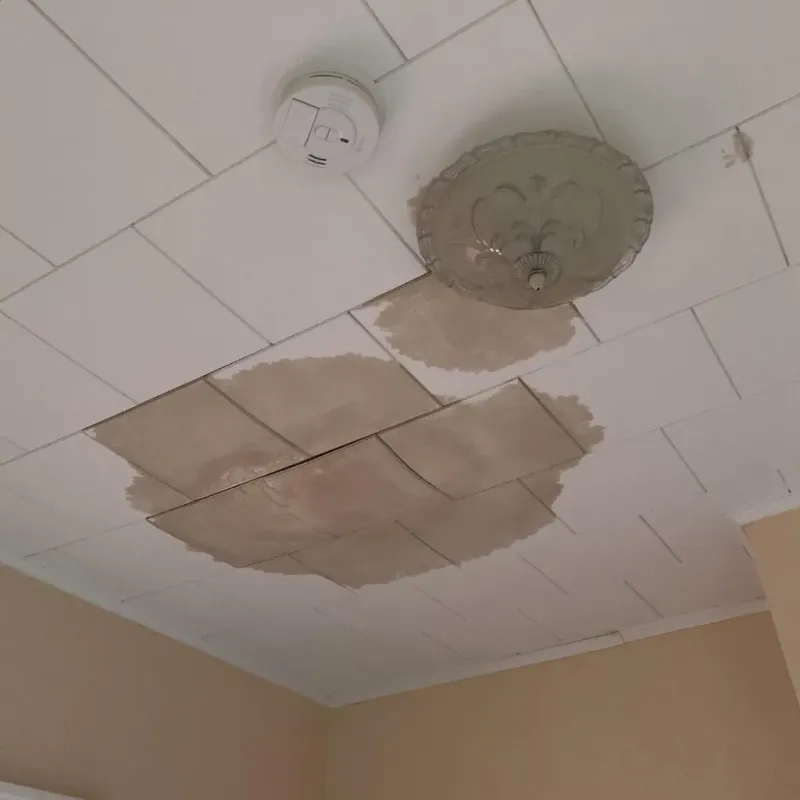 Ceiling Water Damage Repair in Elm Springs, AR