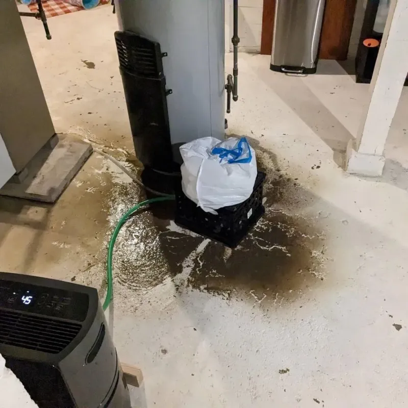 Sewage Backup Cleanup Service in Elm Springs, AR